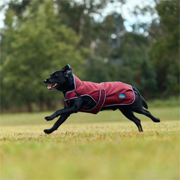 2025 Weatherbeeta Comfitec Premier Deluxe Waterproof Dog Coat 1028800 - Burgundy
